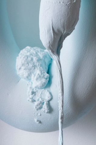 160825-noble-photography-043